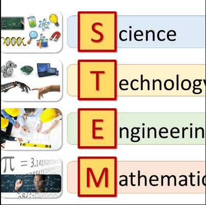 Stem & You profile