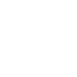 Tesla logo