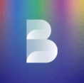 Roland Berger profile
