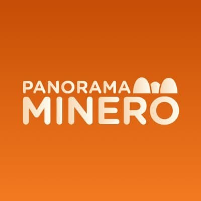 Panorama Minero profile